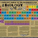 Biology Periodic Tables and Wall Charts