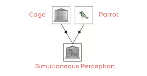 All About Binocular Vision - Thevisionpedia