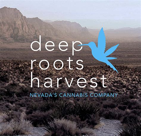 EMIL FILIP X NEW YORK - DEEP ROOTS HARVEST