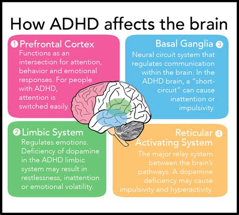 Attention deficit hyperactivity disorder (ADHD)