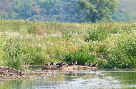 A Guide to the Best Parks in Calgary's Southeast | Wolf Willow