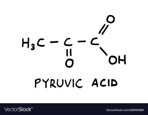 Pyruvic acid structural formula Royalty Free Vector Image