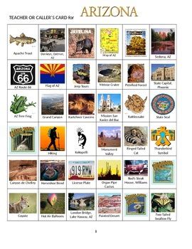 Arizona: State Symbols and Sites by Sue Ann Kline | TpT