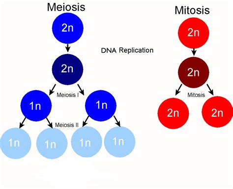 Bienvenidos al aula virtual de Biología: agosto 2015