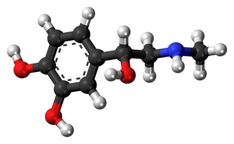 Growth Hormone Steroid Cycle| Life Cares