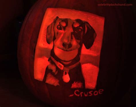 The Official, 'Crusoe Celebrity Dachshund' pumpkin carving. | Crusoe ...