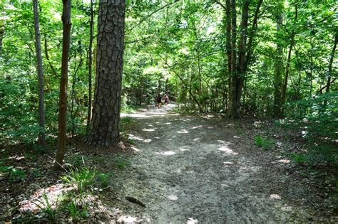 Cliffs of the Neuse State Park, Seven Springs, N.C. » Carolina Outdoors ...