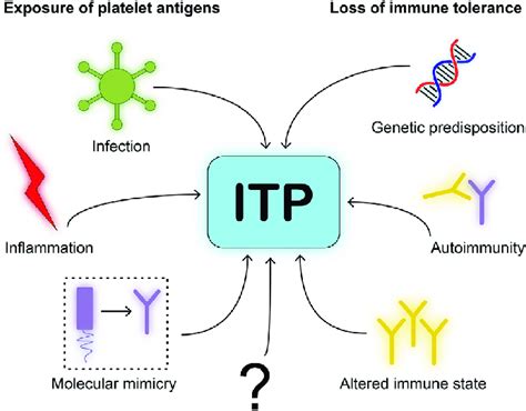 Immune Thrombocytopenia Images - This group is intended for people who wish to obtain ...