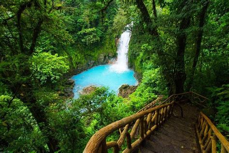 Rio Celeste Hike and Sloth Watching Tour From San Jose 2022