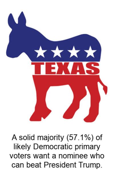 Texas Democratic Primary Election 2020 Survey - University of Houston