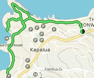 Kapalua Coastal Trail: 2942 Reviews, Map - Maui, Hawaii | AllTrails