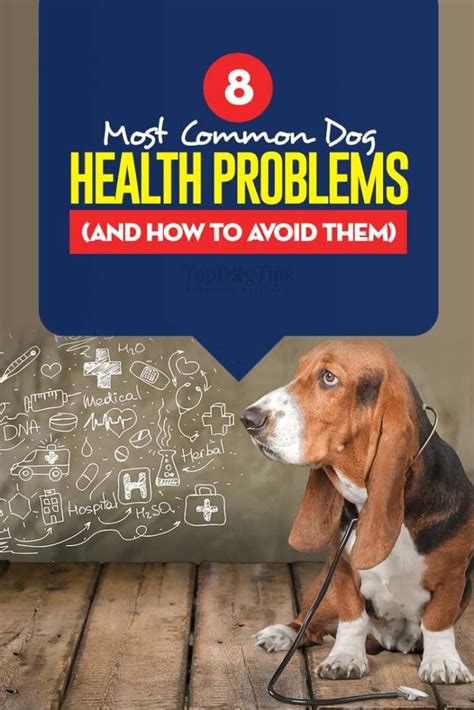 9 Most Common Dog Health Issues (Signs, Causes, Treatments)