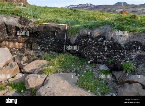 Greenland, Baffin Bay. Archeological Thule Culture site of Kangerup Nua ...