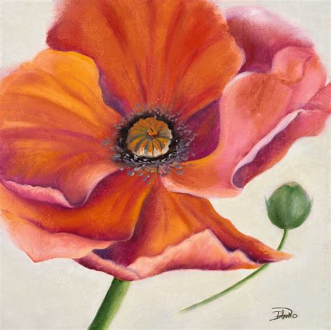 Poppy Flower II - Art and Frame - Adelaide