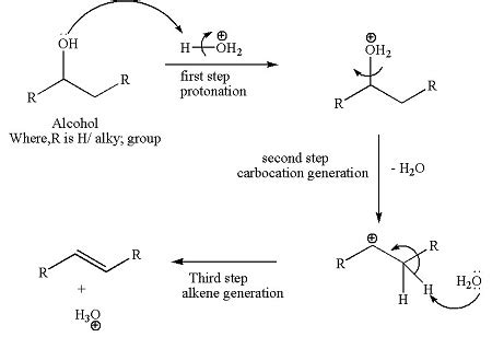 What is the mechanism for the acid catalyzed dehydration of an alcohol to form an alkene ...