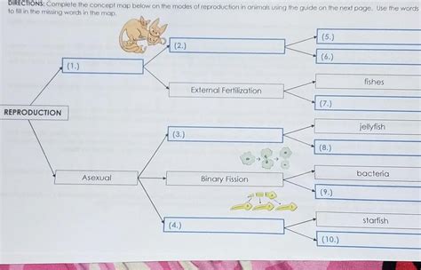 complete the concept map below on the modes of reproduction in animals ...