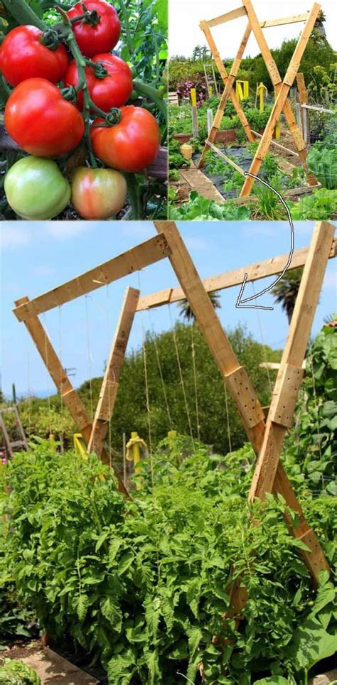 Best Ways to Building DIY Trellis for Veggies and Fruits | Diy garden ...