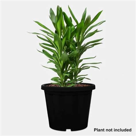 Black Plastic Nursery Pots at Rs 90 in New Delhi | ID: 2852711229273