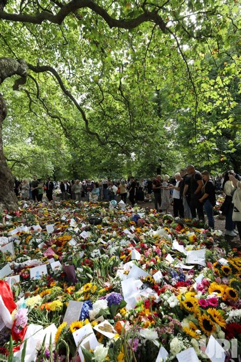 Photo: Members of the public lay flowers in remembrance for Her Majesty ...