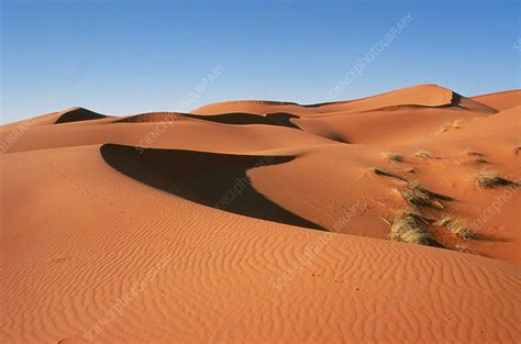 Sand dunes, Arabian desert - Stock Image - E620/0278 - Science Photo ...