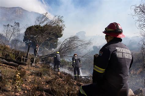 South Africa News: Cape Town Fire on Table Mountain Largely Contained ...