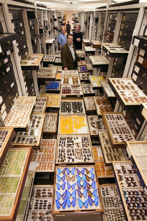 inside the archives: storage at the smithsonian natural history museum