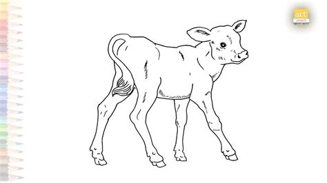 Baby Cow drawing easy | Cow drawing tutorials | How to draw A Calf step ...