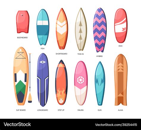 Different types of water boards set long Vector Image