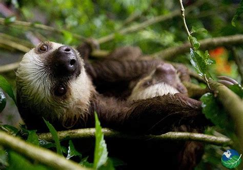 Day Tour to the Gandoca Manzanillo Wildlife Refuge in Costa Rica