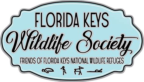 Birders — Florida Keys Wildlife Society