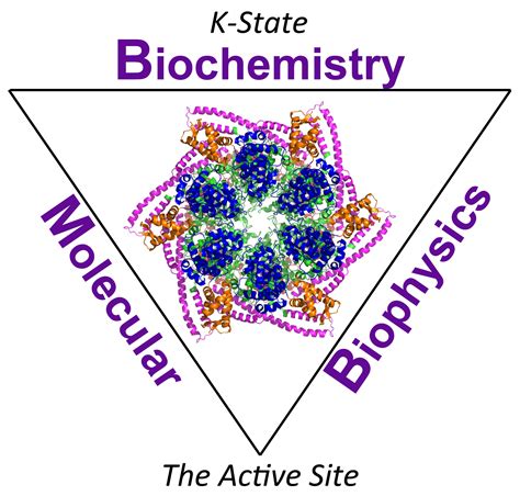 Biochemistry and Molecular Biophysics – Active Site News