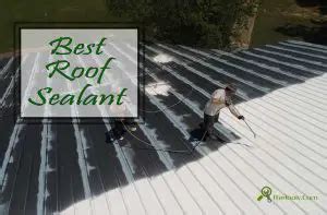 10 Best Roof Sealant For Leaks Reviews 2023 [Buying Guide]