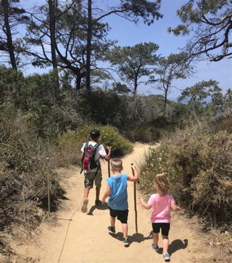 7. Guy Fleming Trail in Torrey Pines State Reserve | Southern california hikes, Southern ...