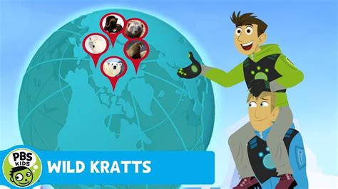 WILD KRATTS | Penguin Study | PBS KIDS | WPBS | Serving Northern New ...