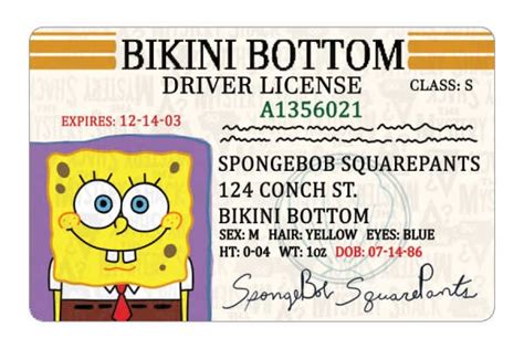 SpongeBob SquarePants ID Cards | Spongebob, Spongebob squarepants, Spongebob birthday