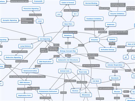 Biology Concept Map - Mind Map