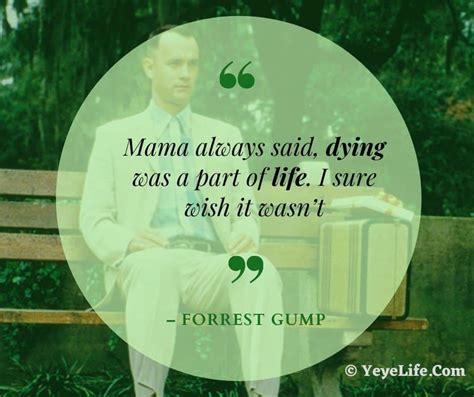 150+ Forrest Gump Quotes and Sayings - YeyeLife