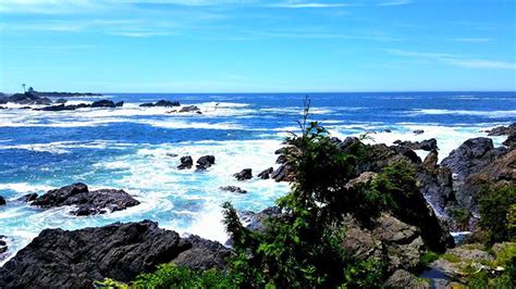 Ucluelet Climate | Vancouver Island Real Estate Listings and Agents