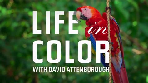 🎬 Life in Color with David Attenborough [TRAILER] Coming to Netflix April 22, 2021 | David ...