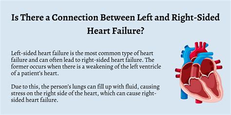 What Is the Difference Between Left and Right Sided Heart Failure?