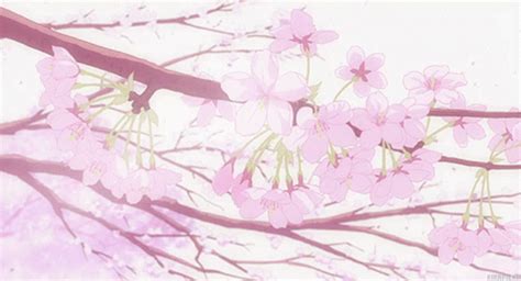 Cherry Blossom Anime GIF - Cherry Blossom Anime Flowers - Discover ...