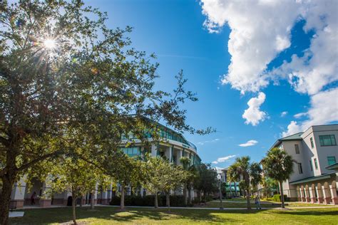 FGCU Campus | Academic buildings in center of campus. | FGCU | University Marketing ...