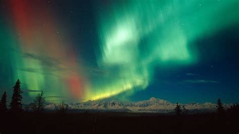 7 Photos of Denali in Winter · National Parks Conservation Association