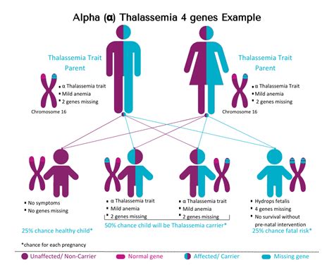 Thalassemia is Not A Gift for Your Precious Little Angel – Cytogenomix