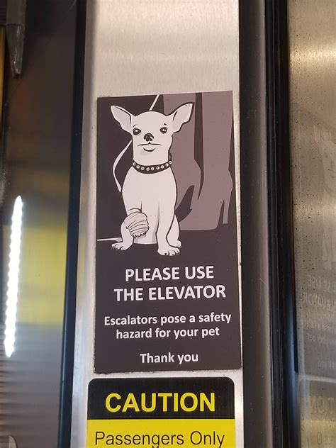 Things To Do In Los Angeles: Small Dog Escalator Safety Signs Are Common Here