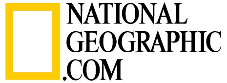 Nat Geo Logo Vector at Vectorified.com | Collection of Nat Geo Logo Vector free for personal use