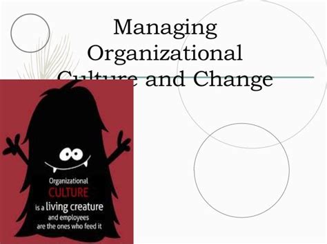 Organizational Culture And Change