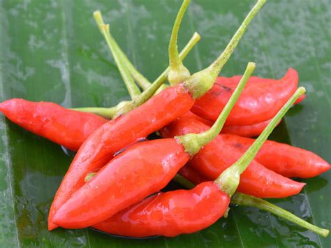 Bird's eye chili has suddenly become expensive! Here's what you must know about it