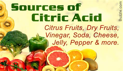 A Colorfully Illustrated Guide: Various Sources of Citric Acid - Nutrineat