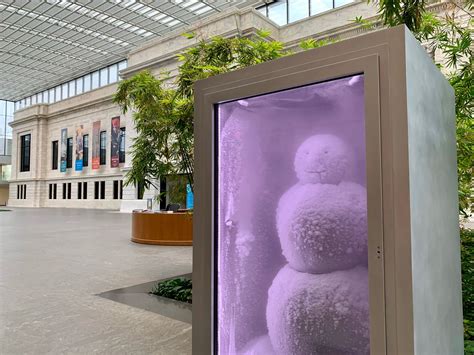 Cleveland Museum of Art installs ‘Snowman’ sculpture in atrium - cleveland.com